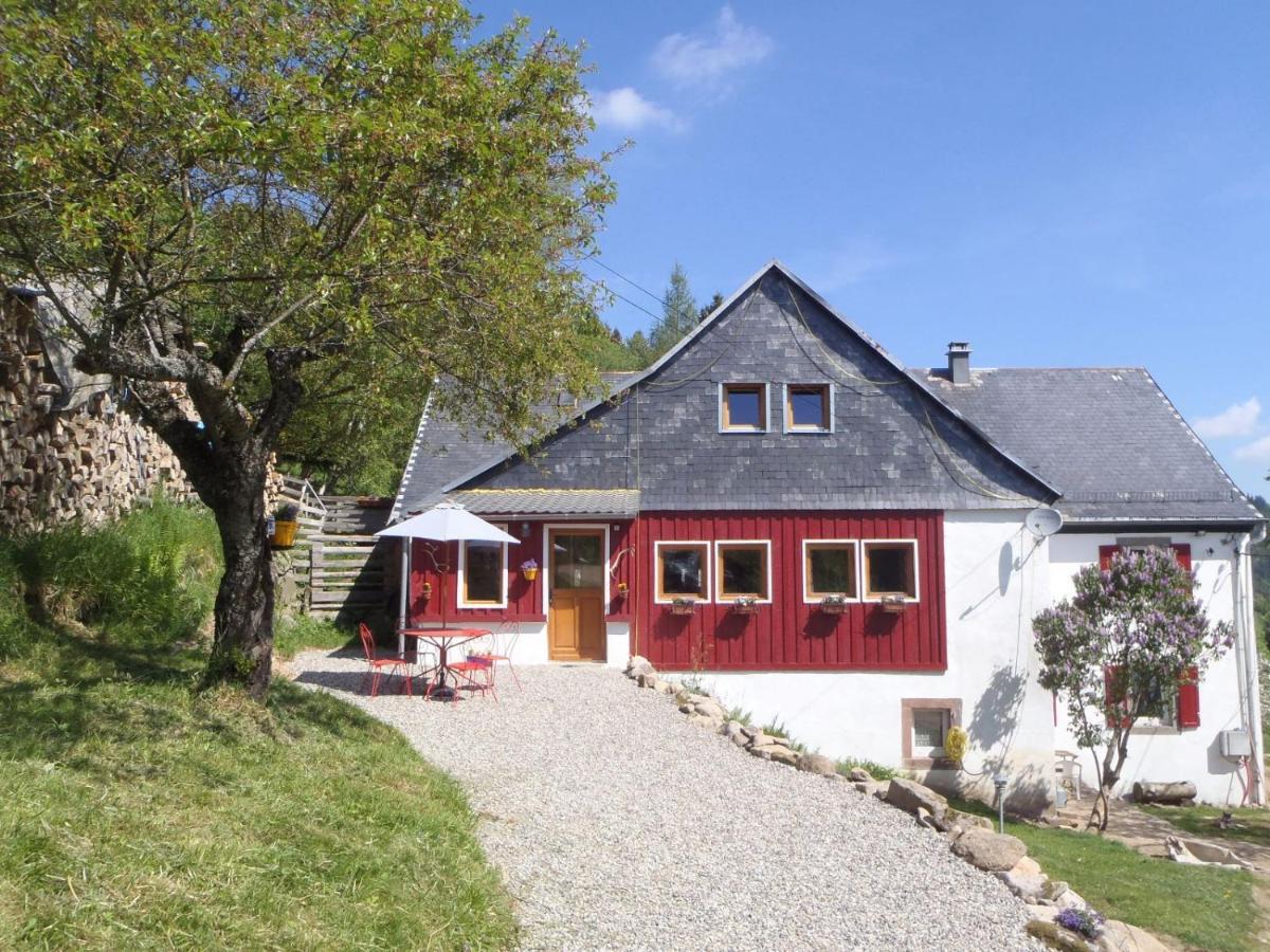 La Petite Finlande Villa Orbey Dış mekan fotoğraf