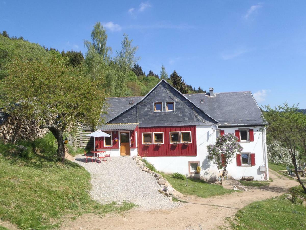 La Petite Finlande Villa Orbey Dış mekan fotoğraf